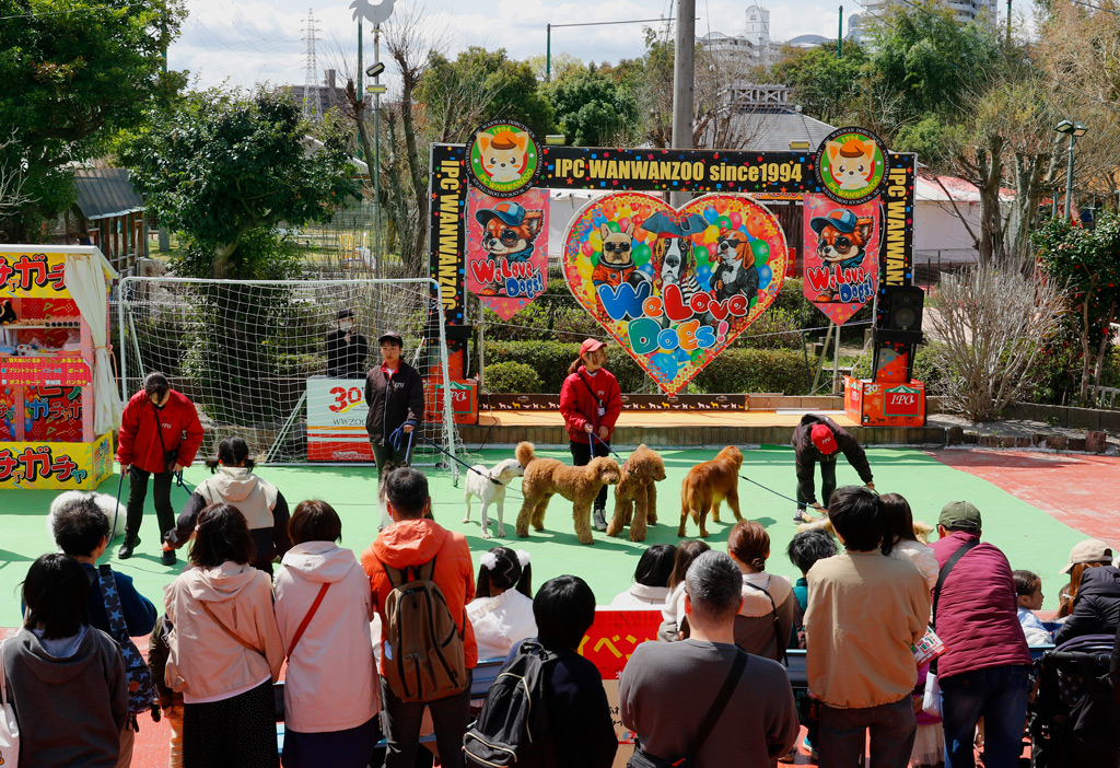 大型犬スペシャルふれあいタイム
